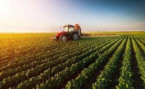 Seasonal & Agricultural Workers